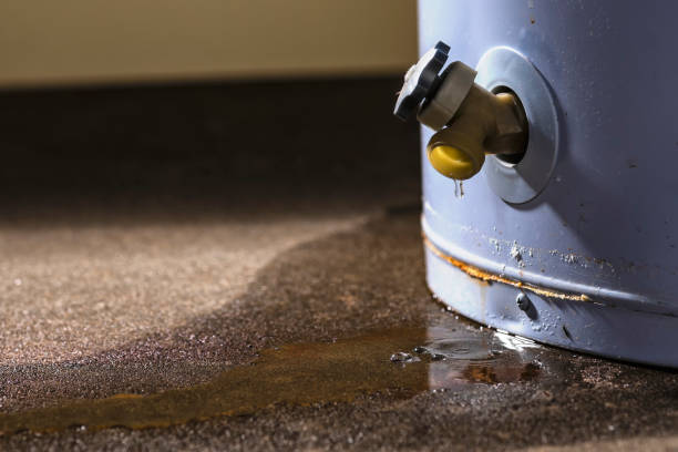 Best Water damage restoration near me  in Ramseur, NC