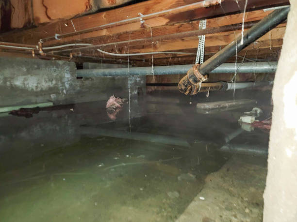 Best 24-hour water damage restoration  in Ramseur, NC