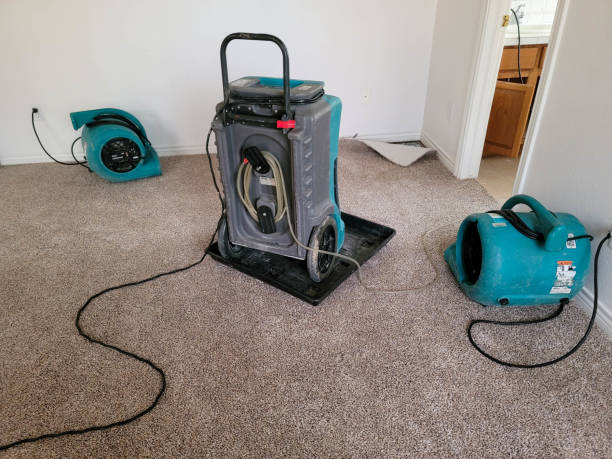 Best 24/7 water damage repair  in Ramseur, NC