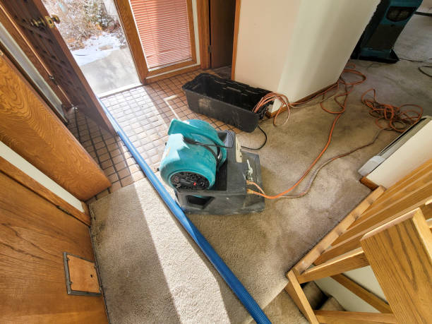 Best Flood damage cleanup  in Ramseur, NC