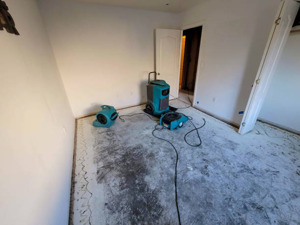 Best Ceiling water damage repair  in Ramseur, NC