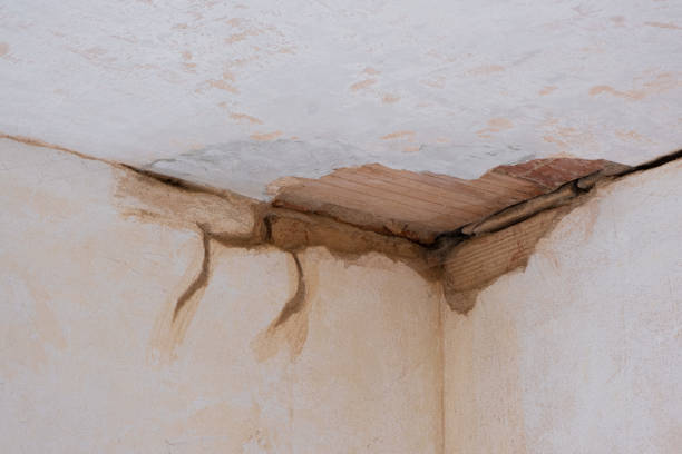 , NC Water damage restoration Company
