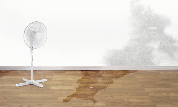 Best 24/7 water damage repair  in Ramseur, NC