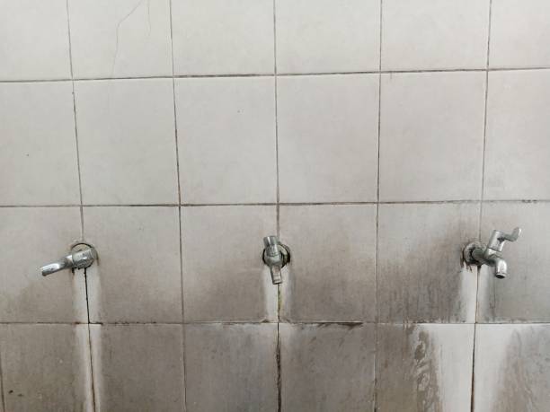 Best Residential water damage restoration  in Ramseur, NC