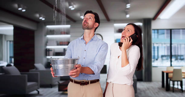 Best Water damage mitigation services  in Ramseur, NC